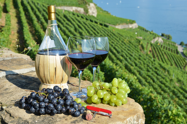 Winery lunch in Tuscany