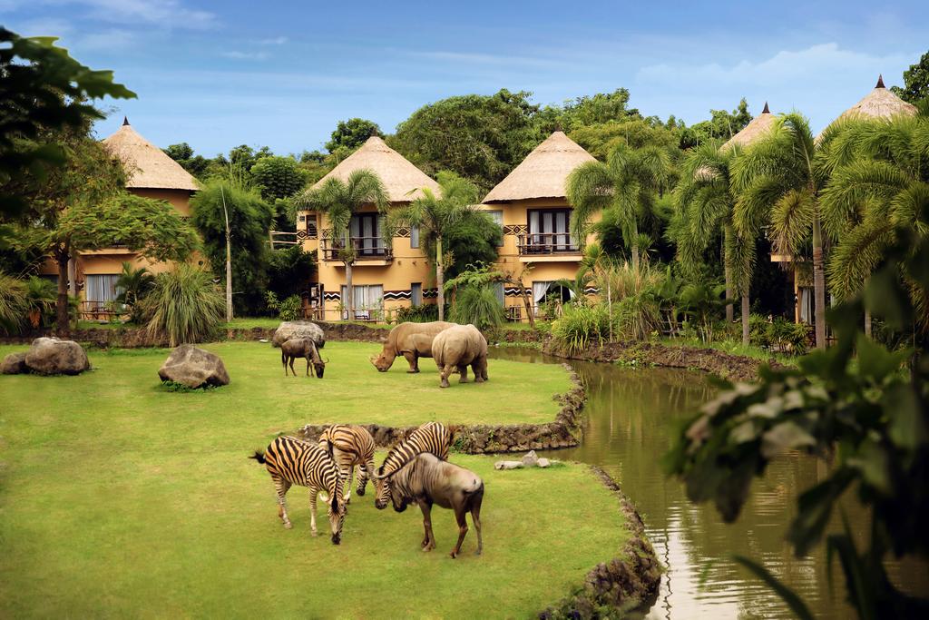 5 Nights at a Safari Hotel