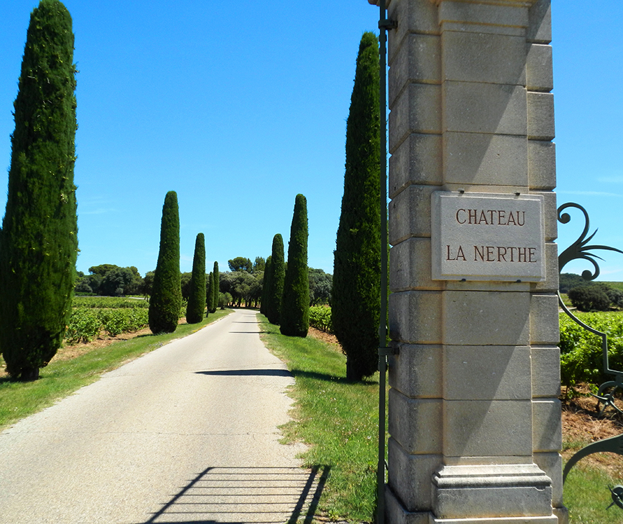 Winery tour in the Rhone Valley