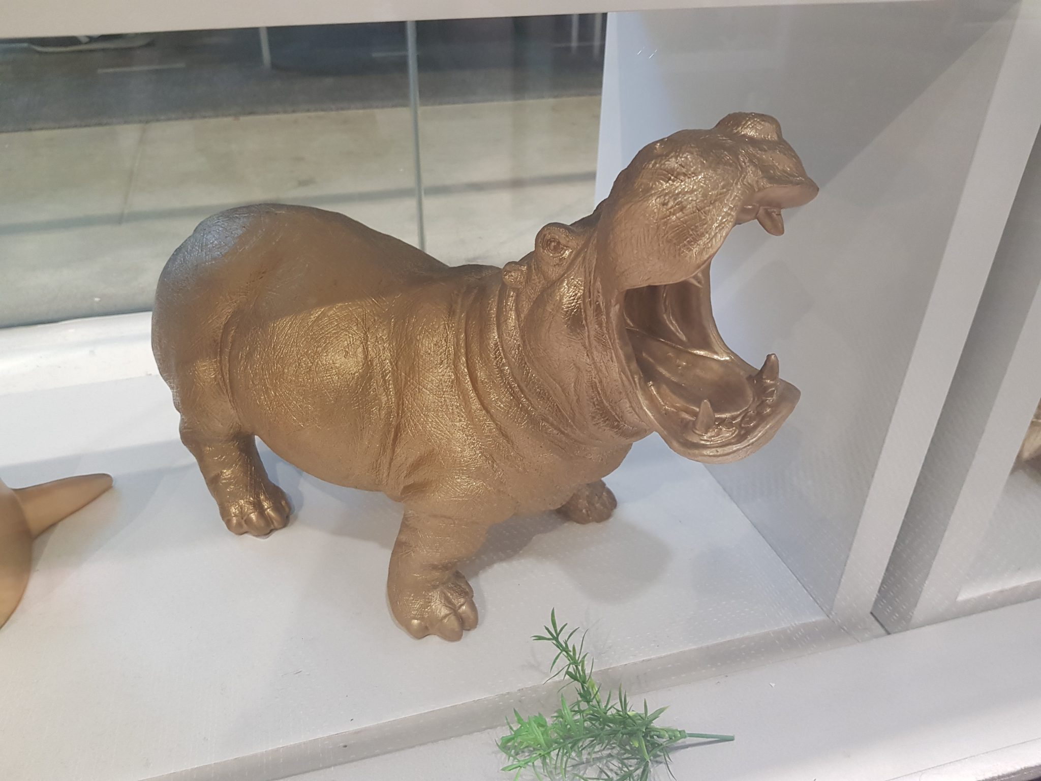 Golden Hippo