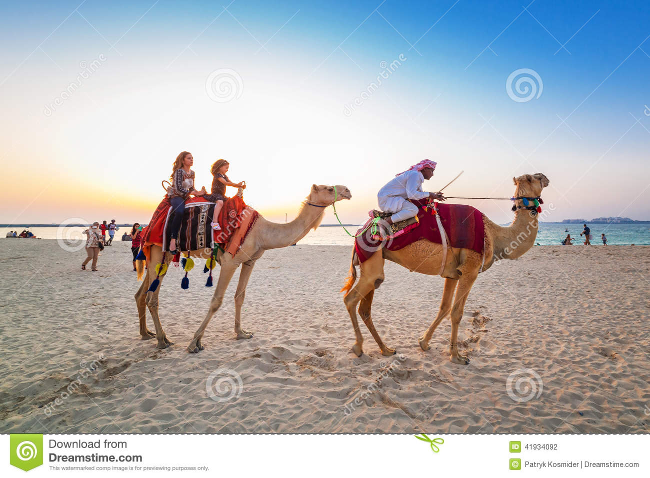 Camel ride in Dubai Marina