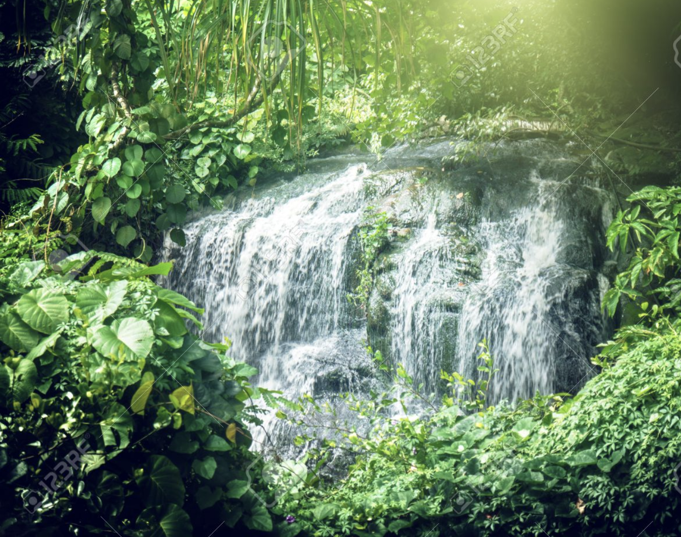 Waterfall Hike Supplies - Seychelles Jungle Waterfall Mahe