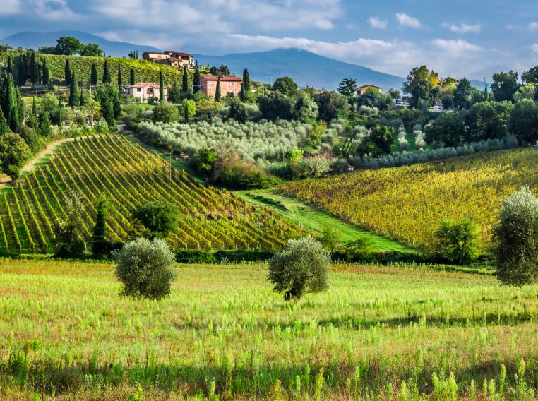 Tuscany Wine Tour