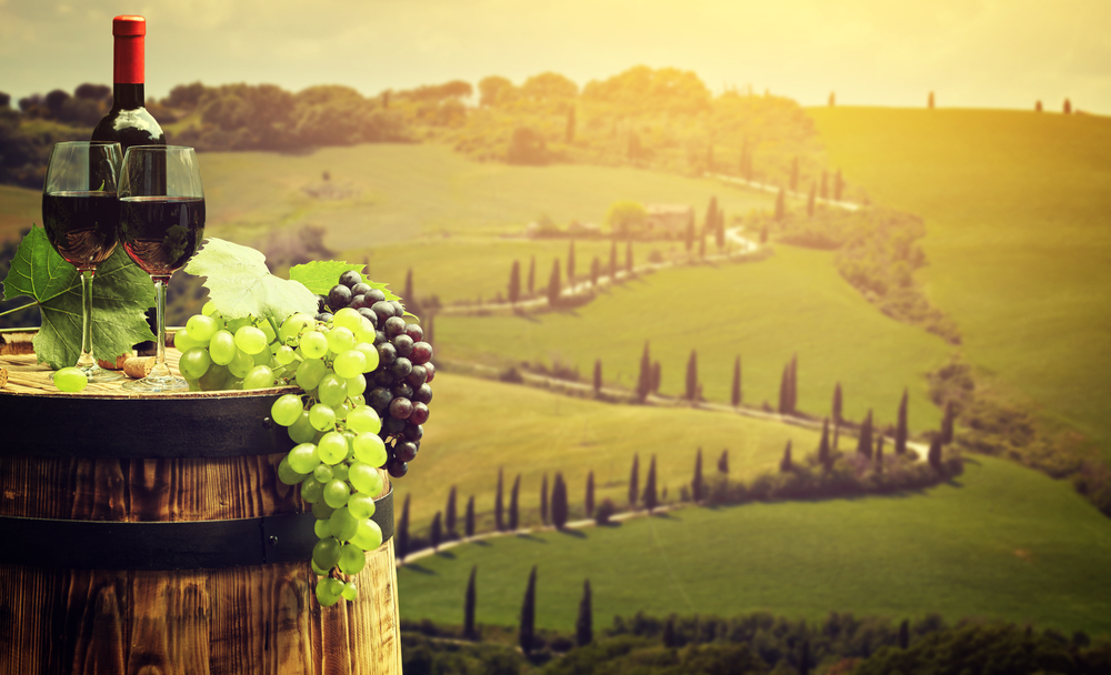 Wine Tour in Tuscany