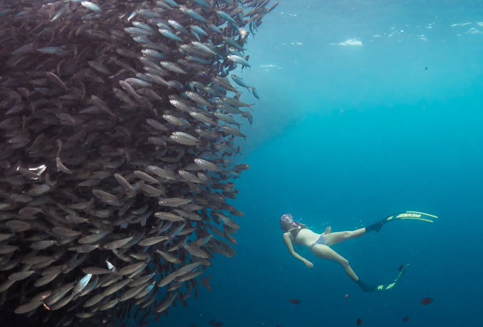 Snorkeling trip