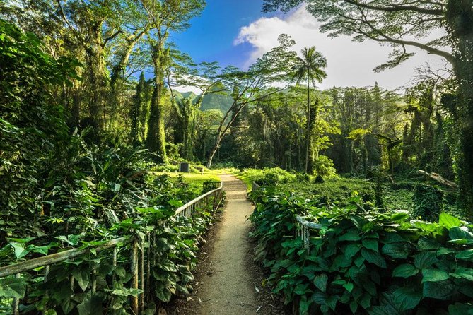 Manoa Valley & Waterfall Hike