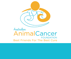 Donate to the Australian Animal Cancer Foundation
