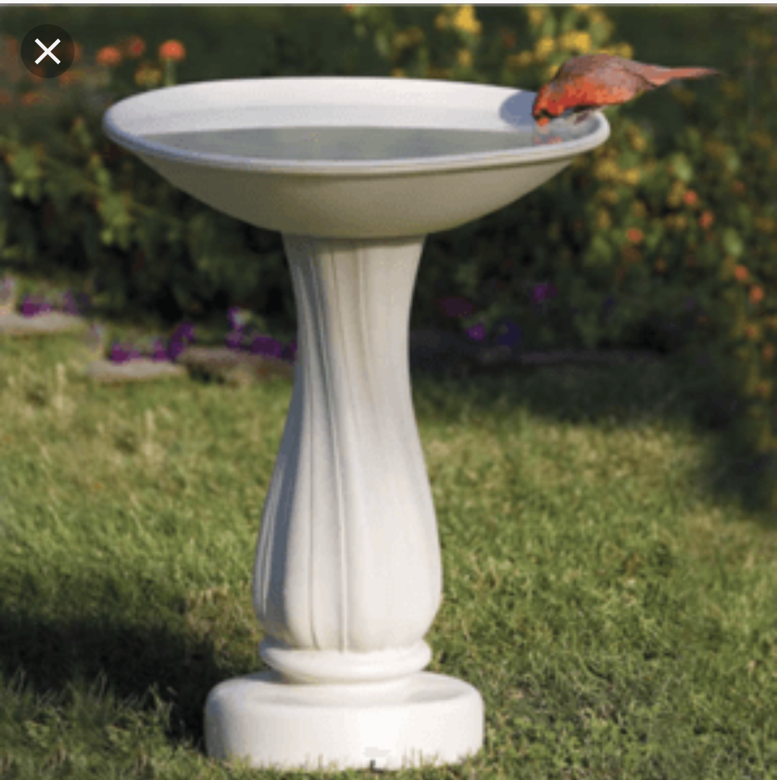 Bird bath