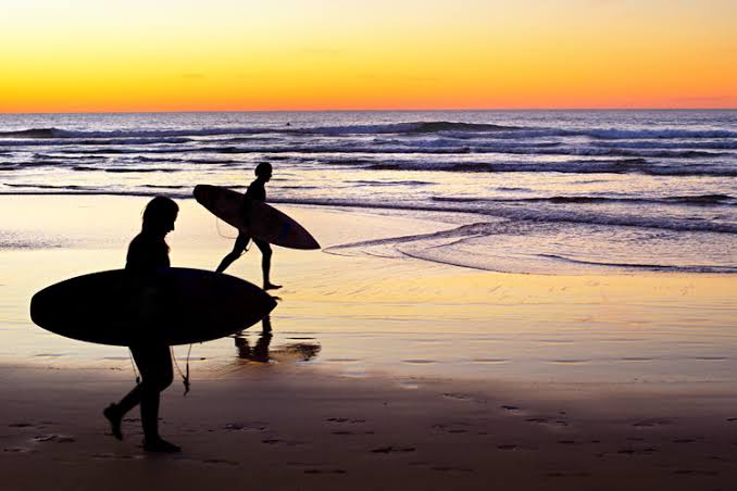 Surfing Lessons