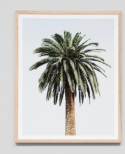 Palm Print