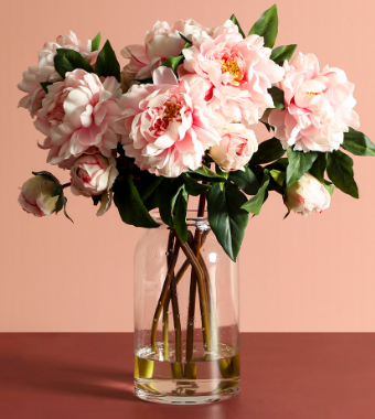 Japanese Peony with Bud