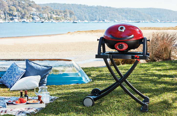 Ziggy by Ziegler & Brown Portable Grill in Chilli Red