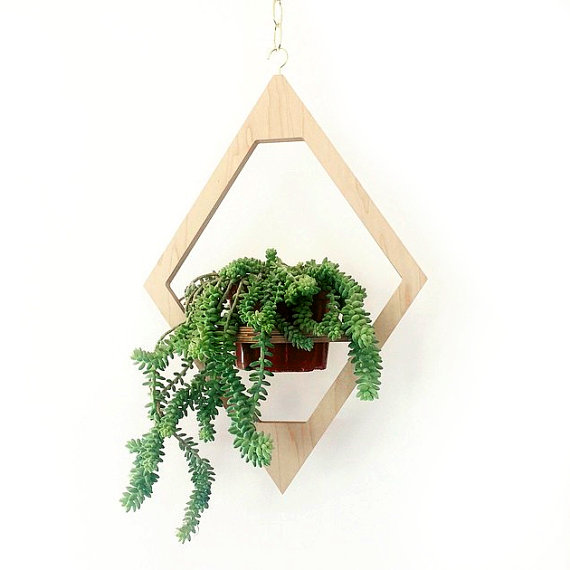 Hanging house plant