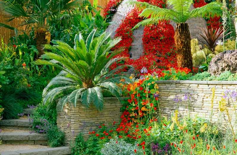 Garden plants and landscaping