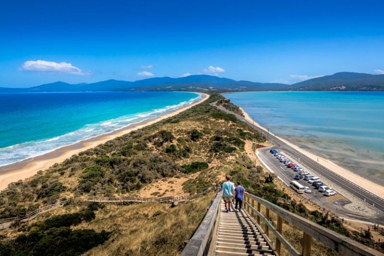 Bruny Island Day Tour