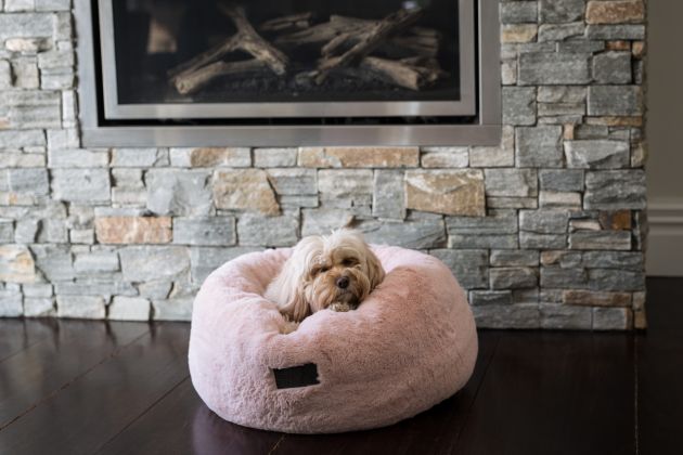 Pet Bed