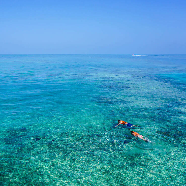 Snorkelling Boat Trip for 2