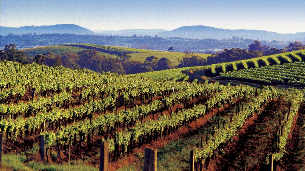 Date Idea: Hunter Valley Getaway