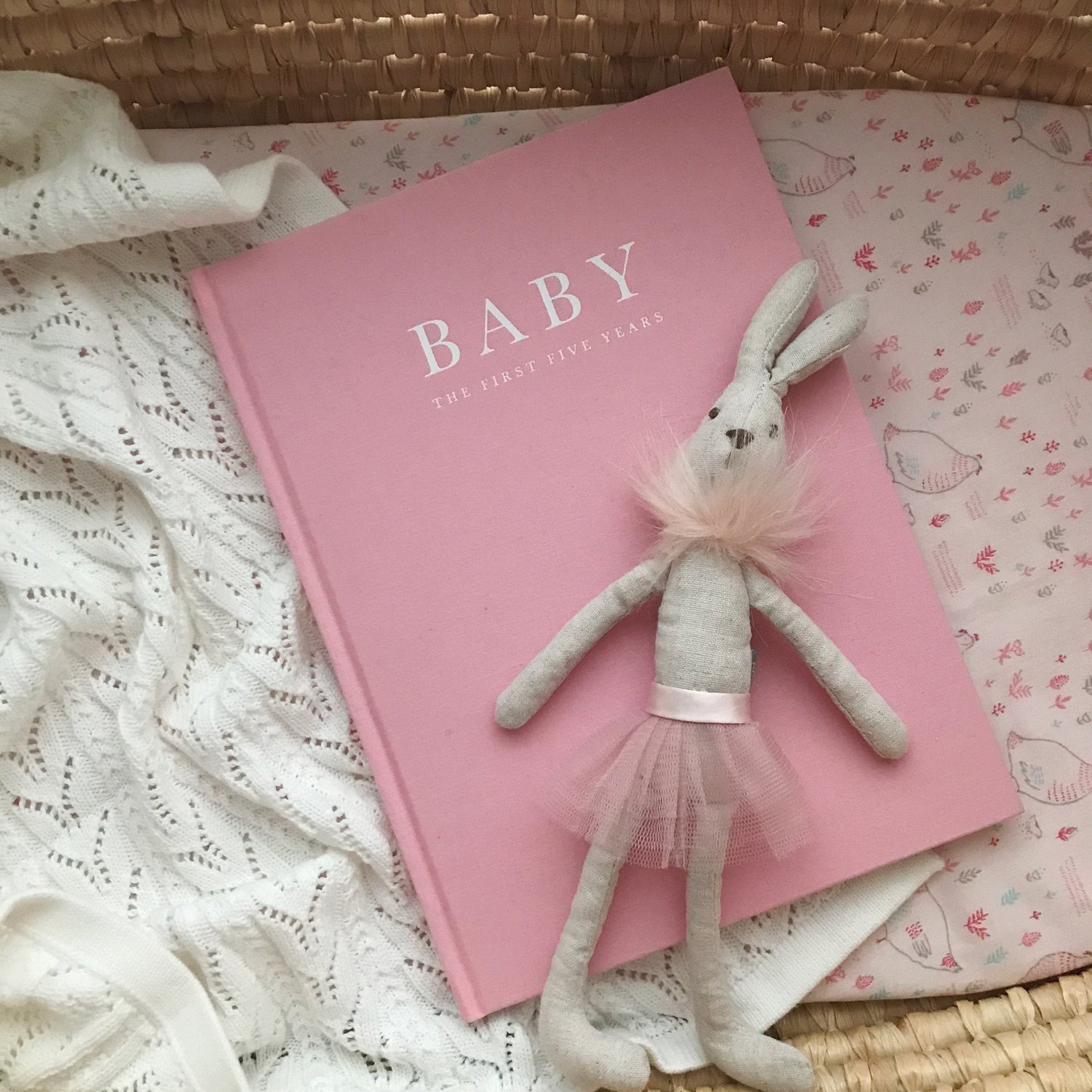 Baby Journal Oink, link below to buy