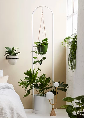 Ivy Muse Plant Stand