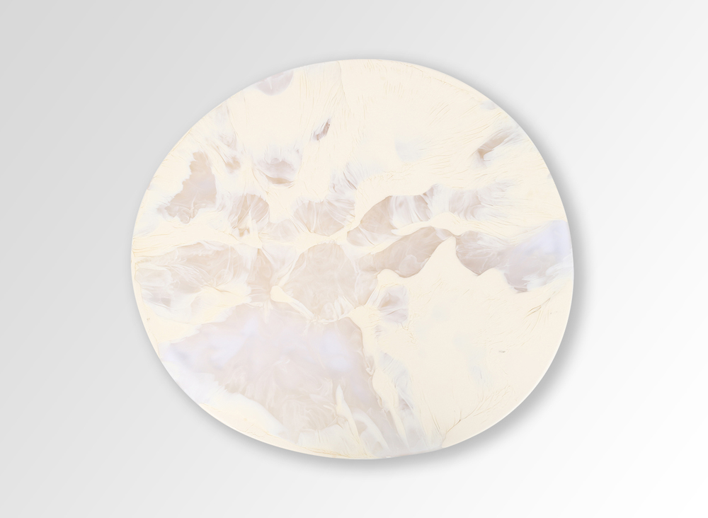 Dinosaur Design Platter