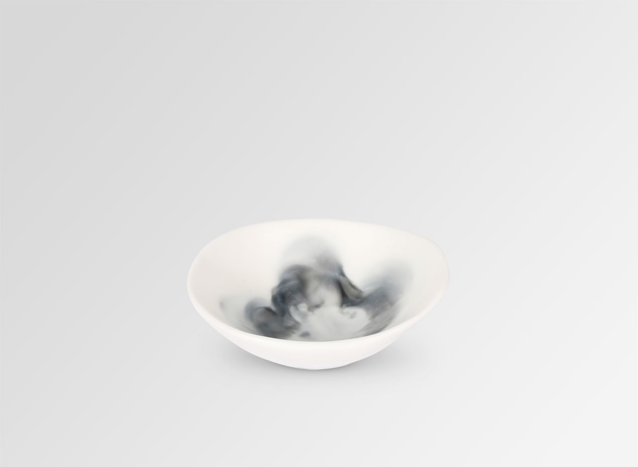 Dinosaur Design Bowl