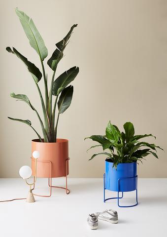 Ivy Muse Plant Stand