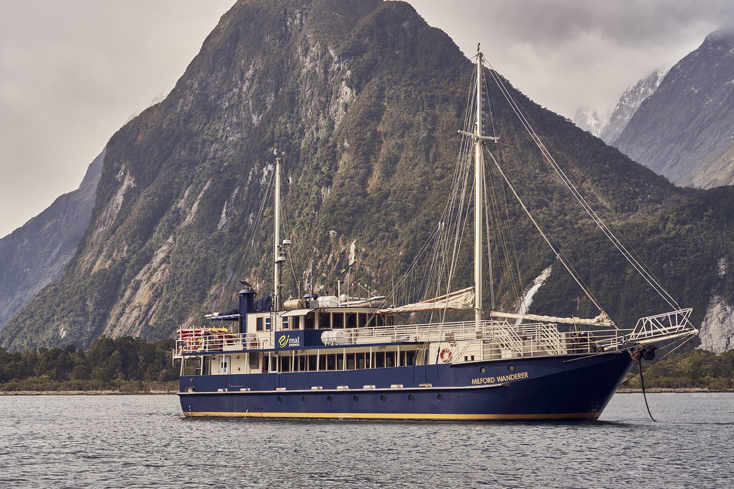 Milford Sound Nature Cruise