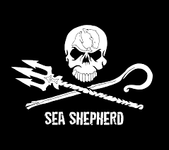 Sea Shepherd Charity