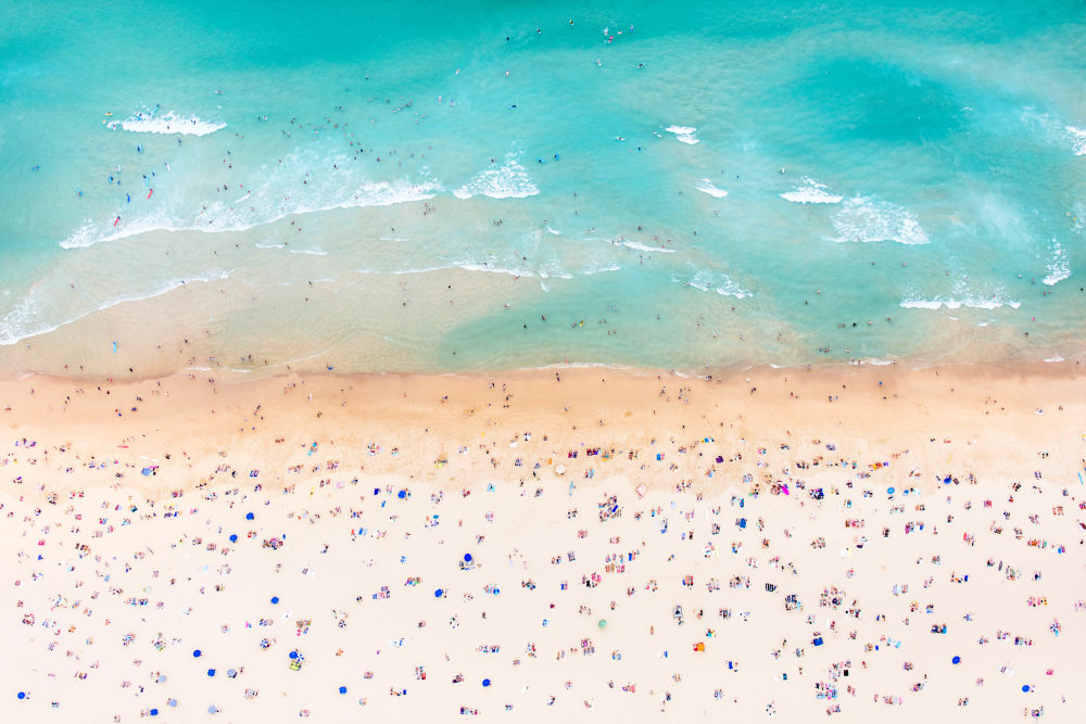 Bondi Beach Landscape Print