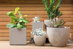 Ornamental Planter Pots