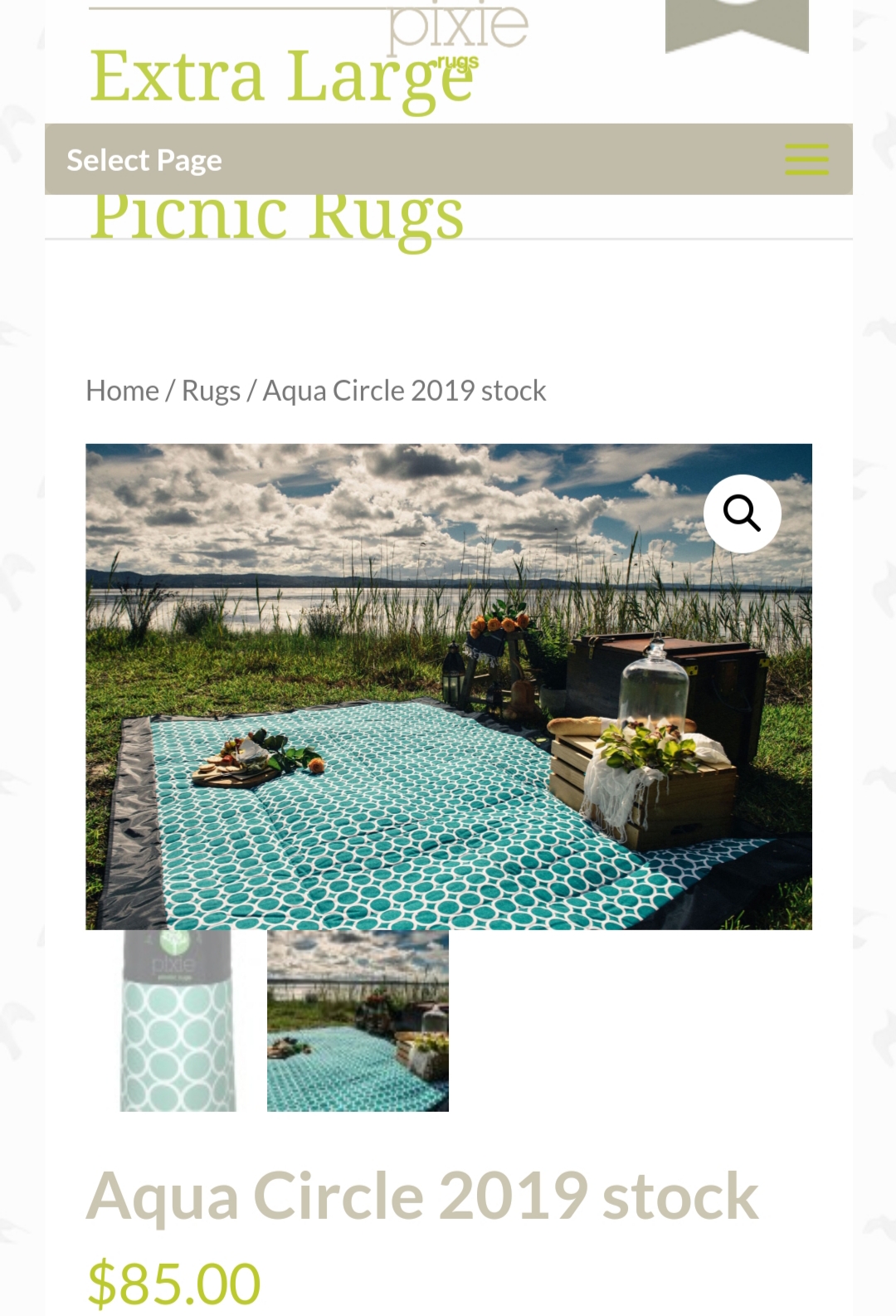 Pixie Rug.... Picnic rugs that are baby proof... Amazing!