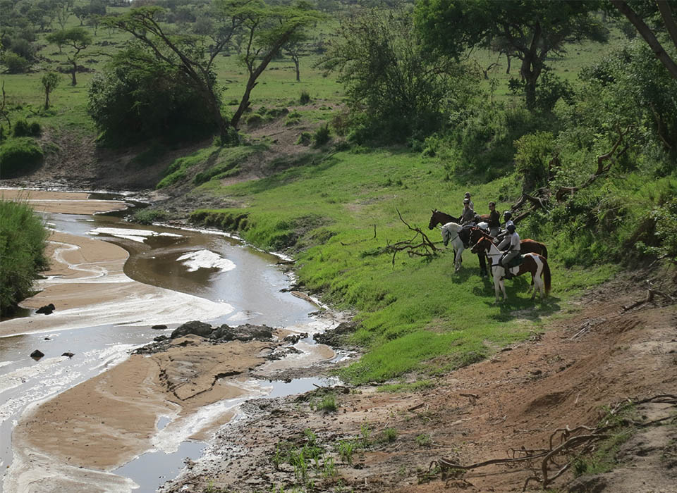 Masai Mara Horse Back Trek