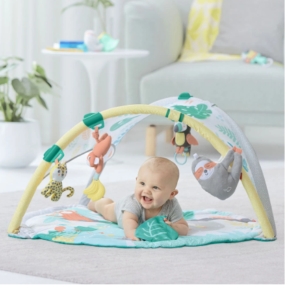BOUGHT - Activity Play Gym