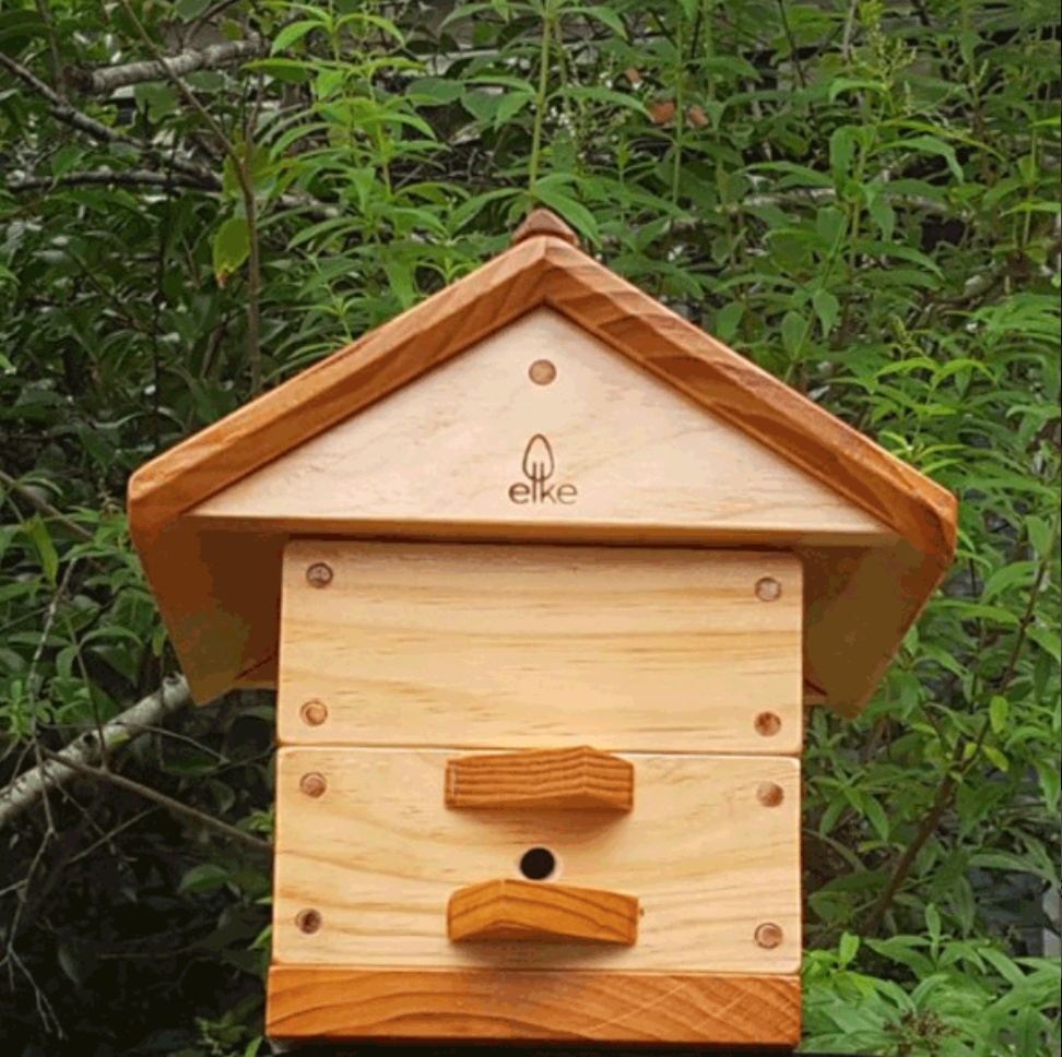 Native Stingless Bee Hive for the backyard