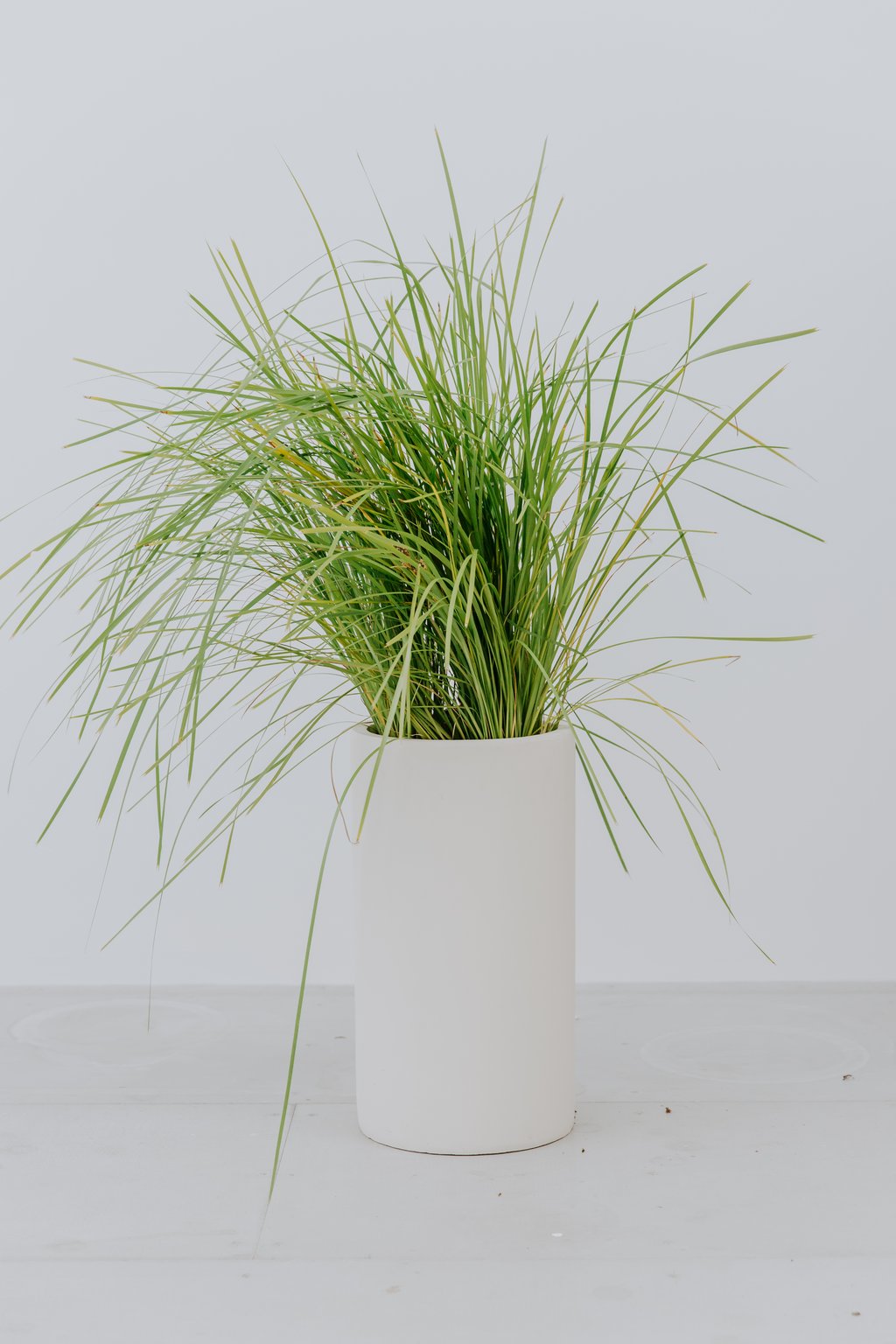 White cylinder pots