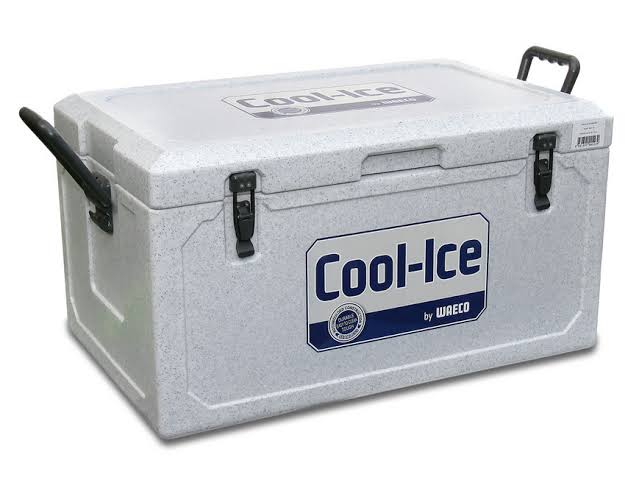 Cool-ice Esky