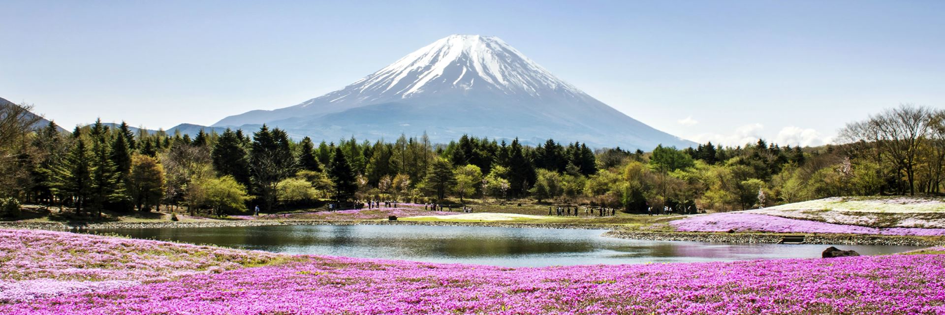 Visit Mt. Fuji