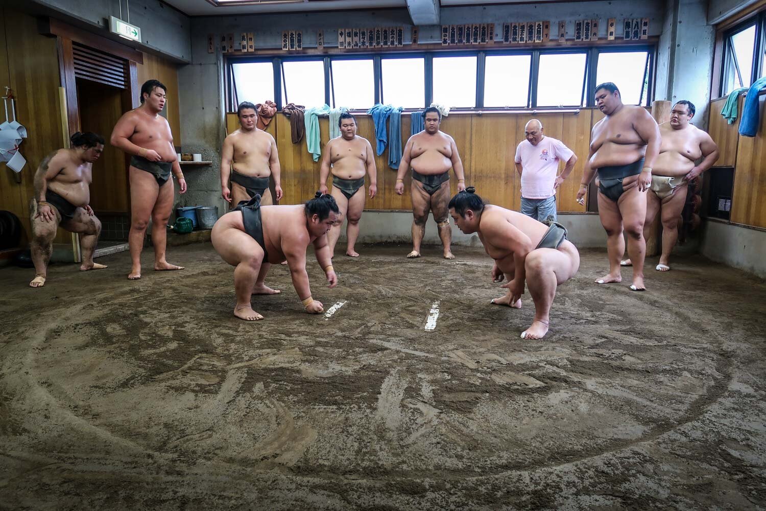 Watch Sumo wrestling tournament