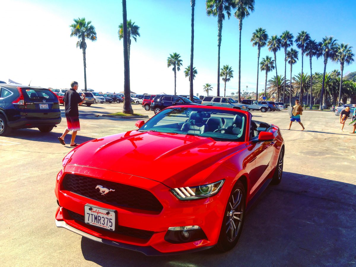 1 Day Mustang Hire LA