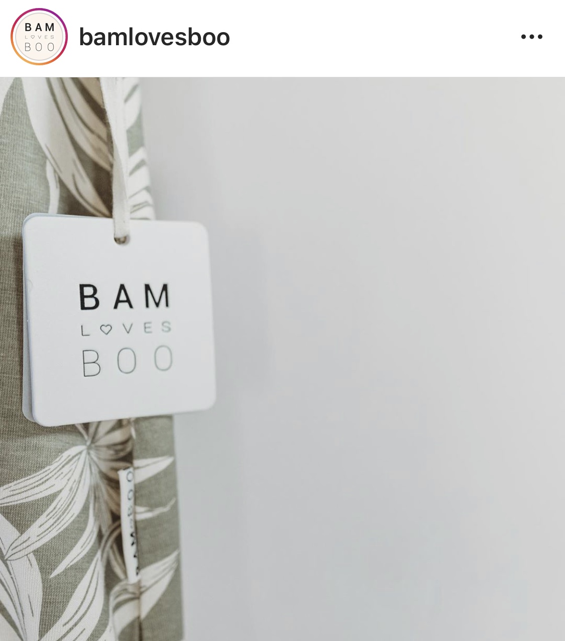 BamLovesBoo Merchandise