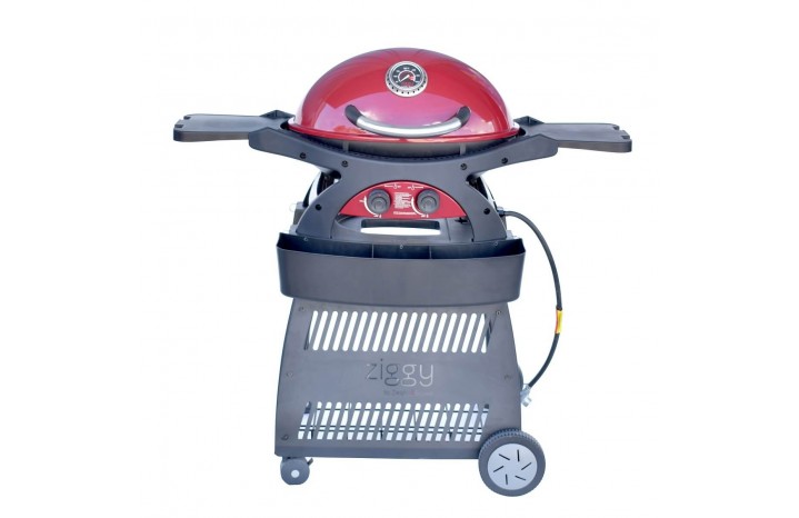 Grill & BBQ