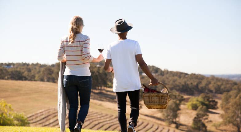 Guided Wine Flight with Matching Cheese - For 2