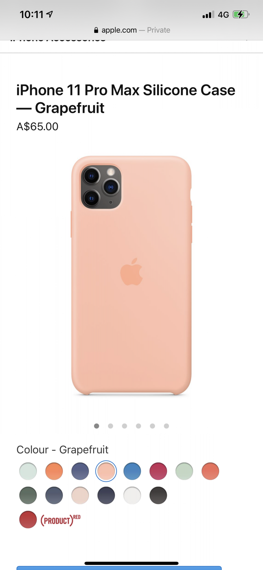 iPhone 11 Pro Max case