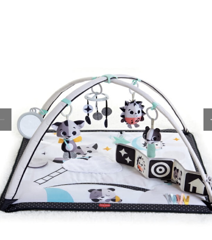 Baby Playmat
