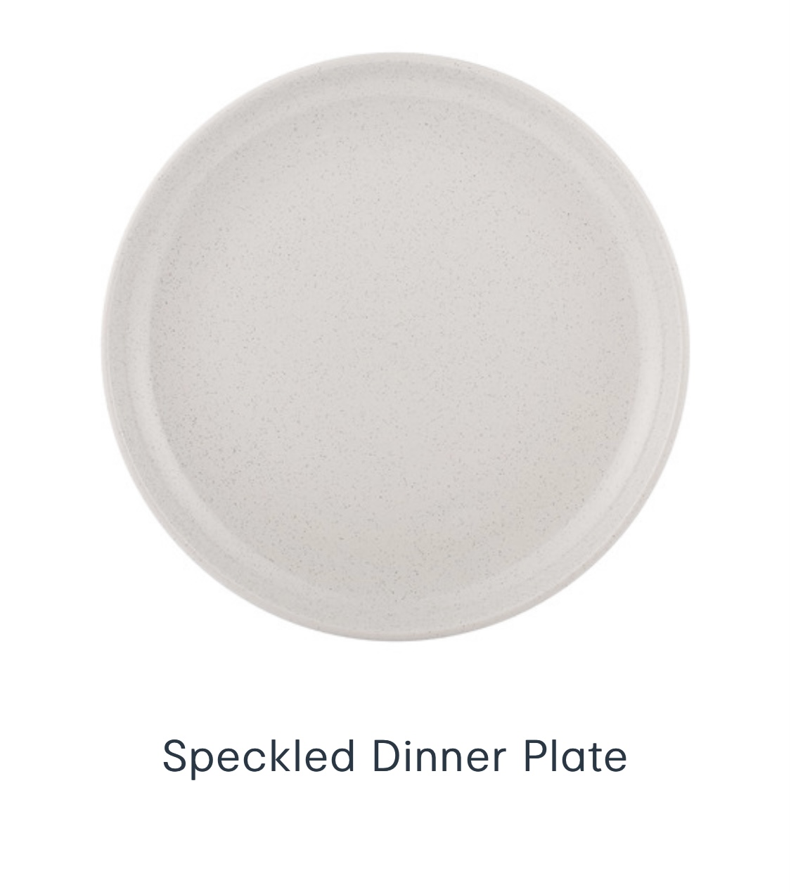 Speckled dinner plate