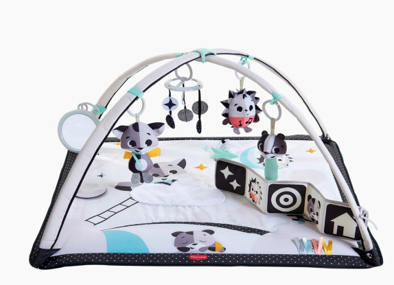 Baby Gym