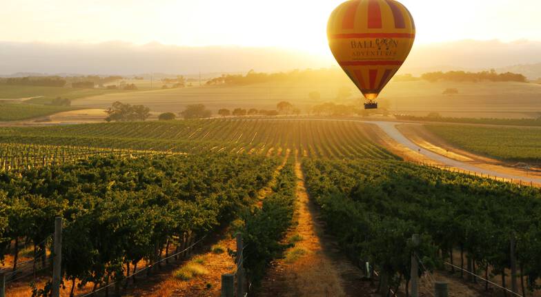 Barossa Hot Air Balloon experience