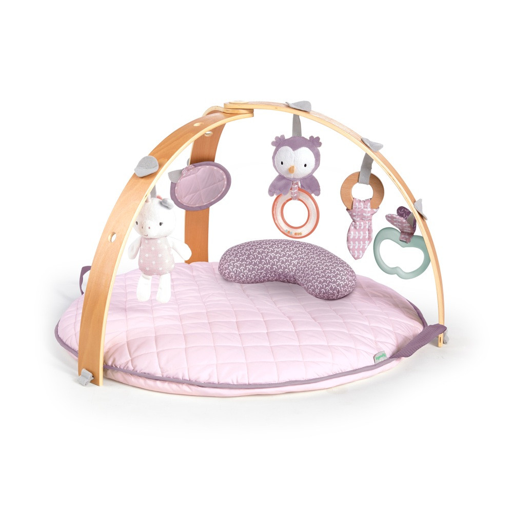 Play Gym