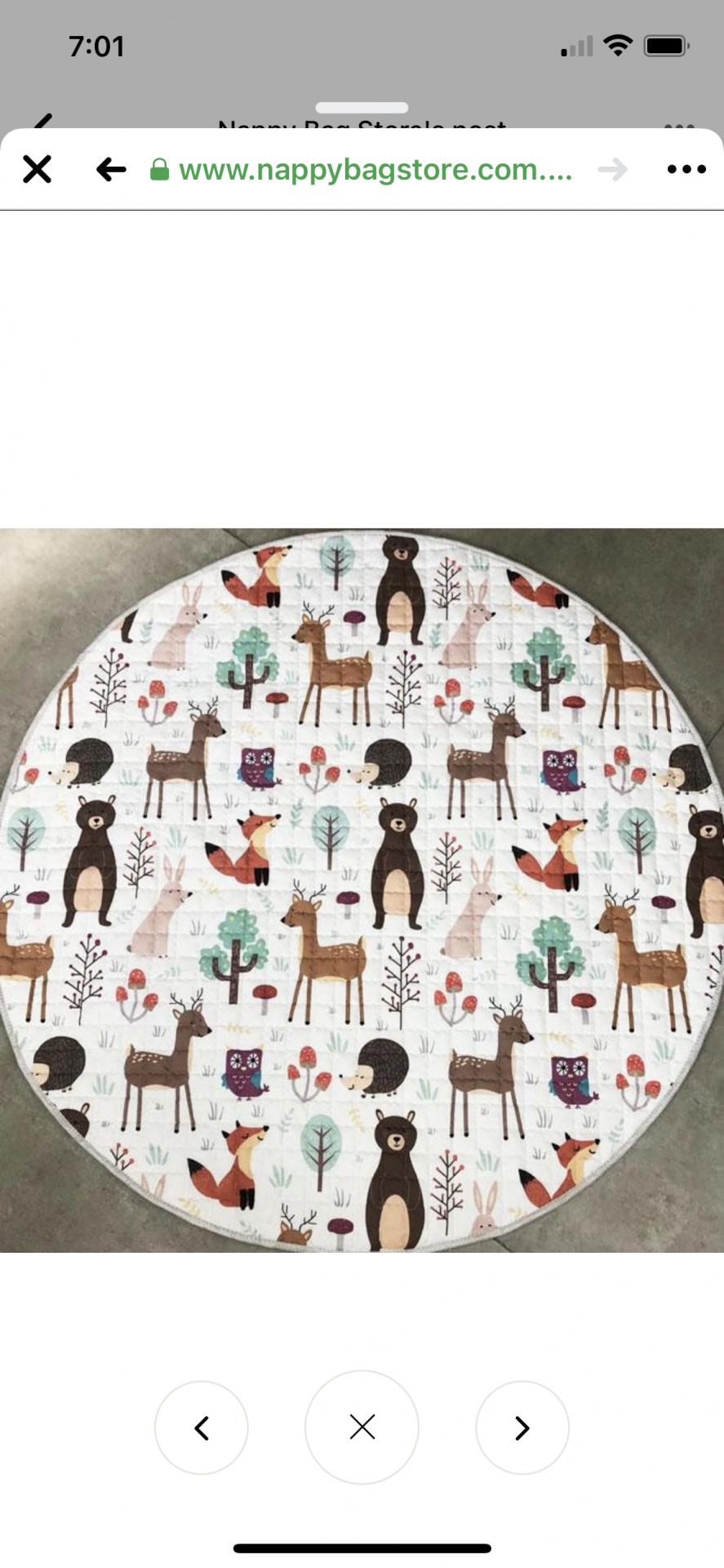 Forest Animals Baby Play Mat